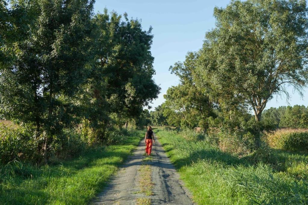 Borderies- Le Logis De L'Epiniere- Gite De Charme Villa Les Nouillers Eksteriør billede